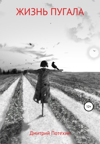 Жизнь пугала. Дмитрий Владимирович Потехин