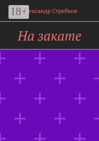 Александр Стребков. На закате