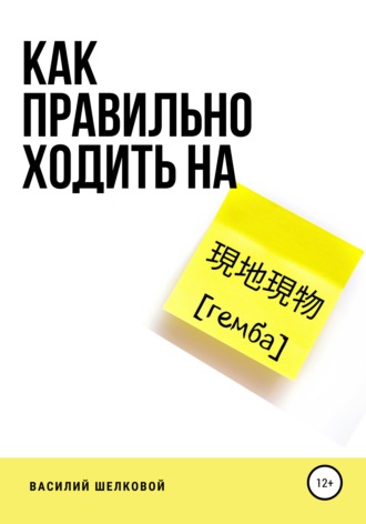 Как правильно ходить на гемба. Василий Шелковой