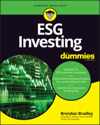 Brendan Bradley. ESG Investing For Dummies