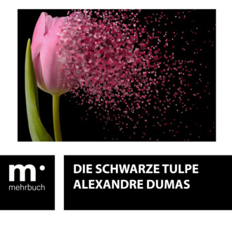 Alexandre Dumas. Die schwarze Tulpe