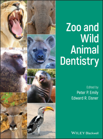 Группа авторов. Zoo and Wild Animal Dentistry