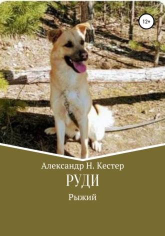 Александр Николаевич Кестер. Руди