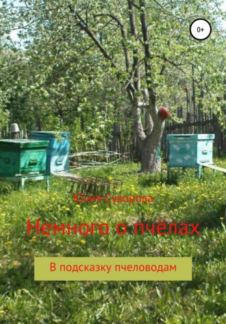 Немного о пчёлах в подсказку пчеловодам. 