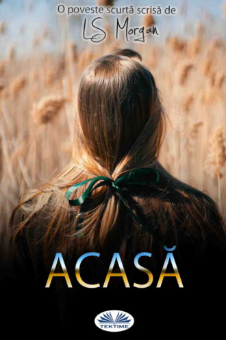 Acasă. LS Morgan