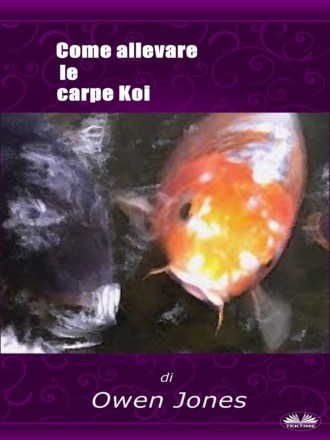Оуэн Джонс. Come Allevare Le Carpe Koi