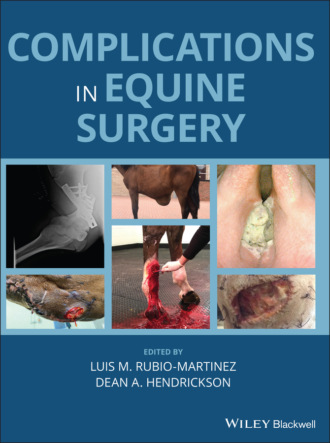 Группа авторов. Complications in Equine Surgery