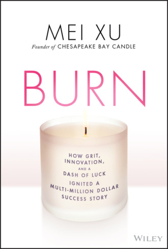 Mei Xu. Burn