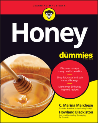 Howland  Blackiston. Honey For Dummies