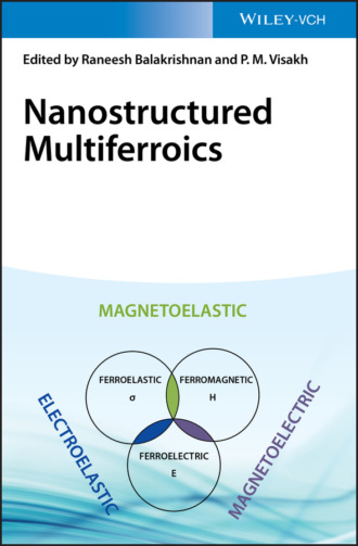 Группа авторов. Nanostructured Multiferroics