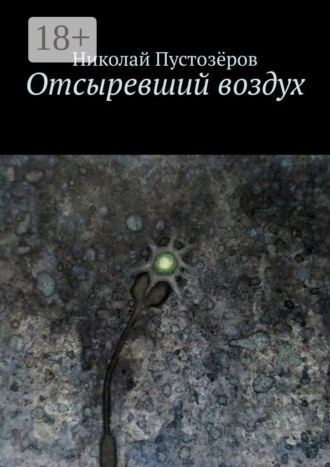 Николай Пустозёров. Отсыревший воздух