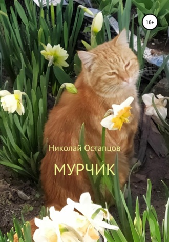 Мурчик. 
