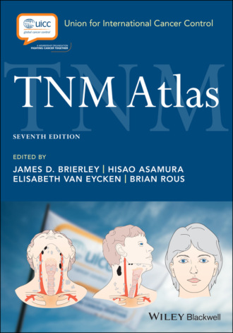 Группа авторов. TNM Atlas