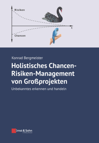 Konrad Bergmeister. Holistisches Chancen-Risiken-Management von Grossprojekten
