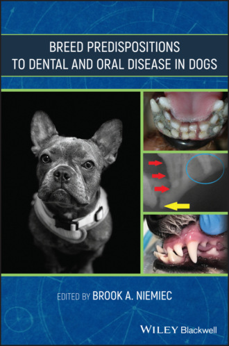 Группа авторов. Breed Predispositions to Dental and Oral Disease in Dogs