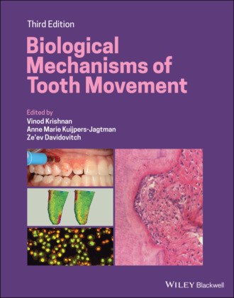 Biological Mechanisms of Tooth Movement. Группа авторов