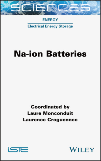 Группа авторов. Na-ion Batteries