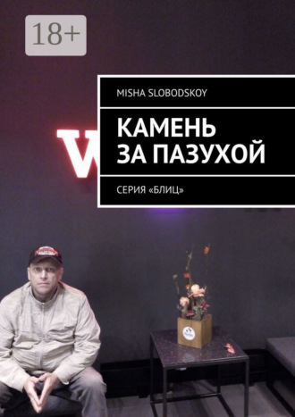 Камень за пазухой. Серия «Блиц». 