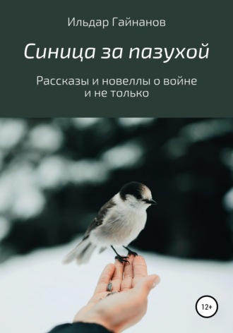 Ильдар Ханифович Гайнанов. Синица за пазухой. Рассказы и новеллы о войне и не только