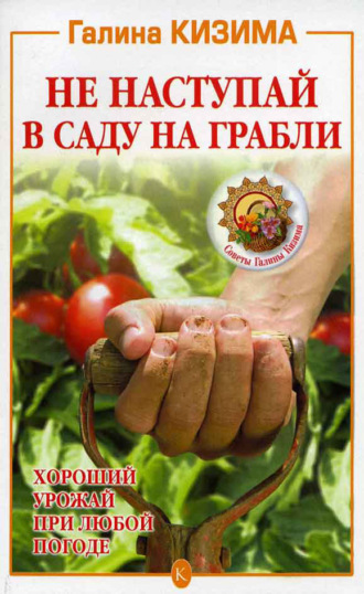 Не наступай в саду на грабли. 