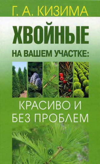 Галина Кизима. Хвойные на вашем участке: красиво и без проблем