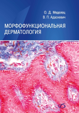 Морфофункциональная дерматология. Владимир Адаскевич