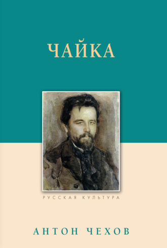 Чайка. 