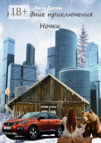 Лиза Дасна. Новогодние приключения Ночки
