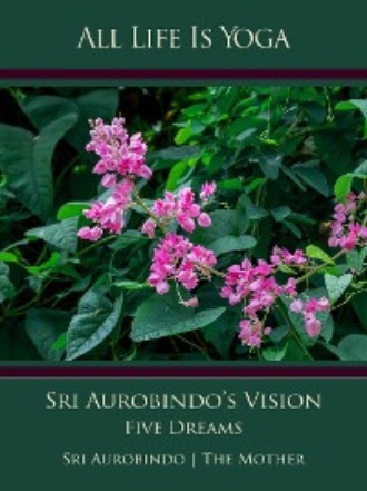 Sri Aurobindo. All Life Is Yoga: Sri Aurobindo’s Vision