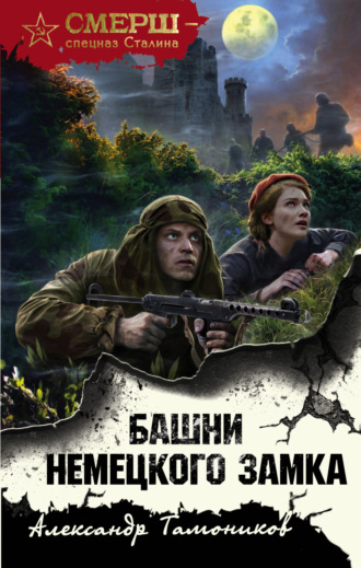 Александр Тамоников. Башни немецкого замка