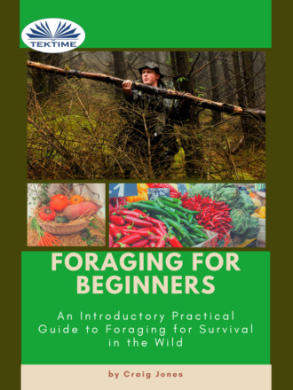 Craig Jones. Foraging For Beginners