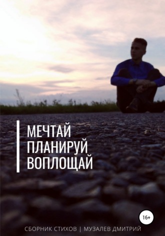 Мечтай, планируй, воплощай. Дмитрий Музалев
