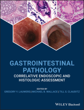 Группа авторов. Gastrointestinal Pathology