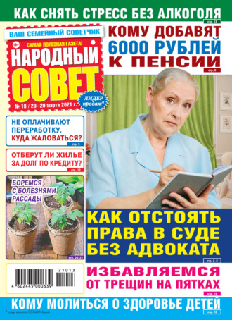 Народный совет №13/2021. Группа авторов
