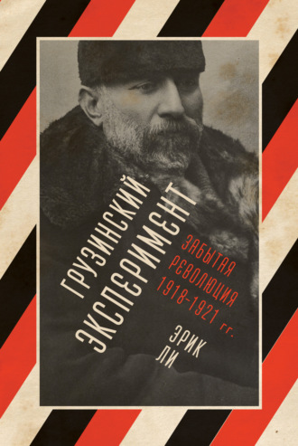Грузинский эксперимент: забытая революция 1918–1921 гг.. Эрик Ли