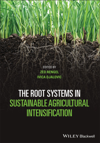 Группа авторов. The Root Systems in Sustainable Agricultural Intensification