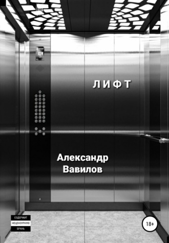 Александр Вавилов. Лифт
