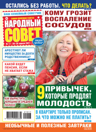 Народный совет №17/2021. Группа авторов