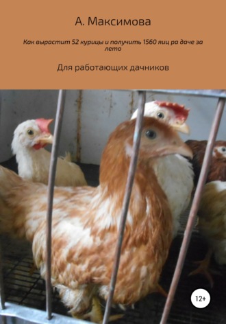 Александра Олеговна Максимова. Как вырастить 52 курицы и получить 1560 яиц на даче за лето. Для работающих дачников