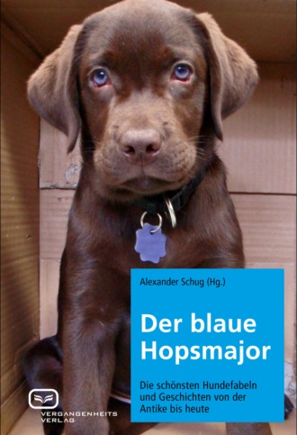 Группа авторов. Der blaue Hopsmajor