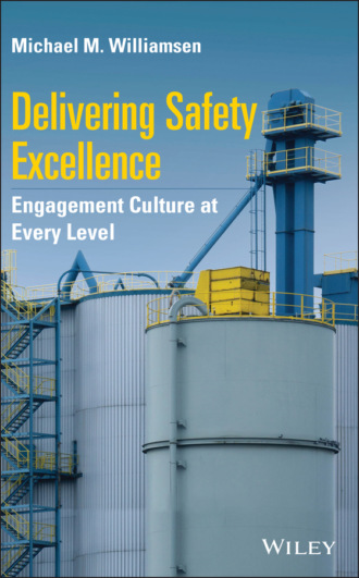 Michael M. Williamsen. Delivering Safety Excellence