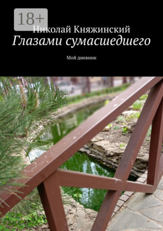 Николай Княжинский. Глазами сумасшедшего. Мой дневник