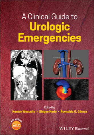 Группа авторов. A Clinical Guide to Urologic Emergencies
