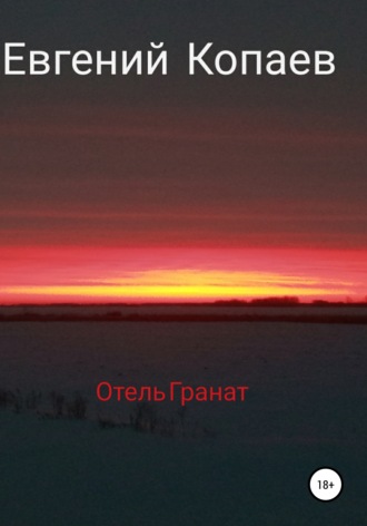 Отель Гранат. Евгений Петрович Копаев