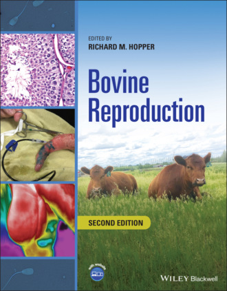 Группа авторов. Bovine Reproduction