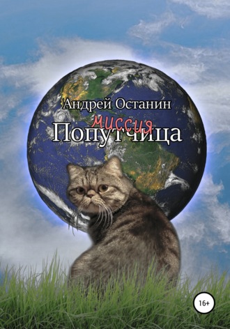 Миссия Попутчица. 