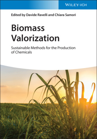 Группа авторов. Biomass Valorization