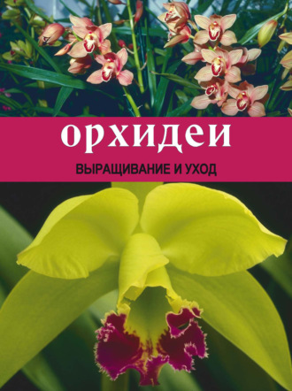 Орхидеи: Выращивание и уход. 