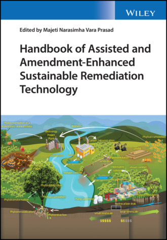 Группа авторов. Handbook of Assisted and Amendment-Enhanced Sustainable Remediation Technology