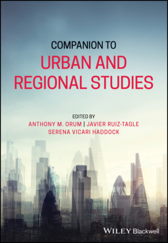Группа авторов. Companion to Urban and Regional Studies